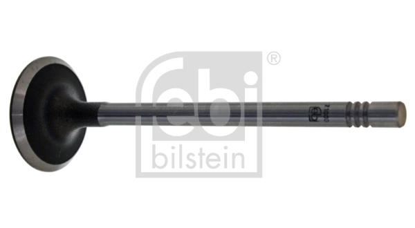 Intake Valve